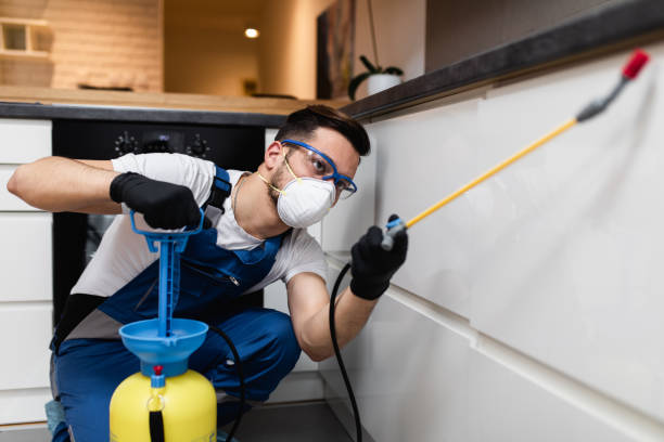 Best Wasp Removal Services  in Denmark, SC