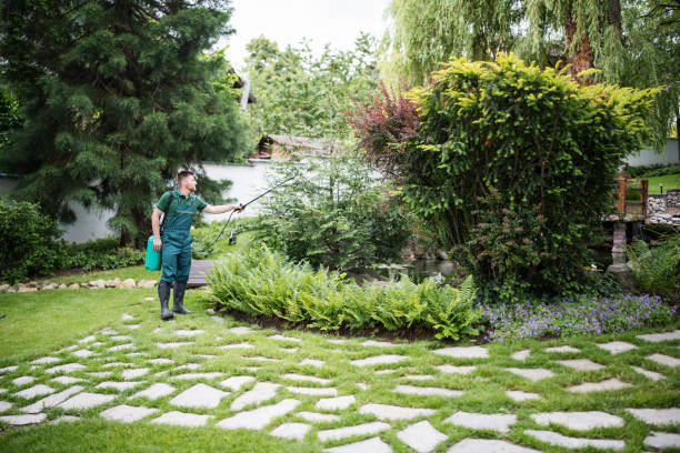 Best Residential Pest Control  in Denmark, SC