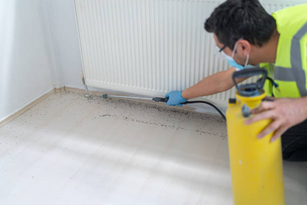 Best Termite Control Services  in Denmark, SC