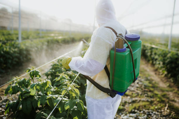 Best Insect Control  in Denmark, SC